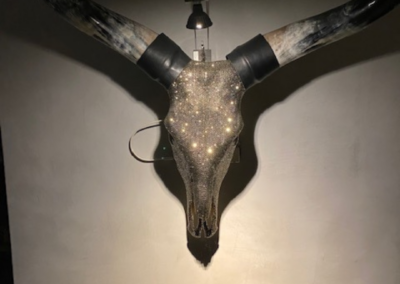 Longhorn
