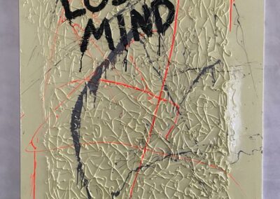 Lost Minds